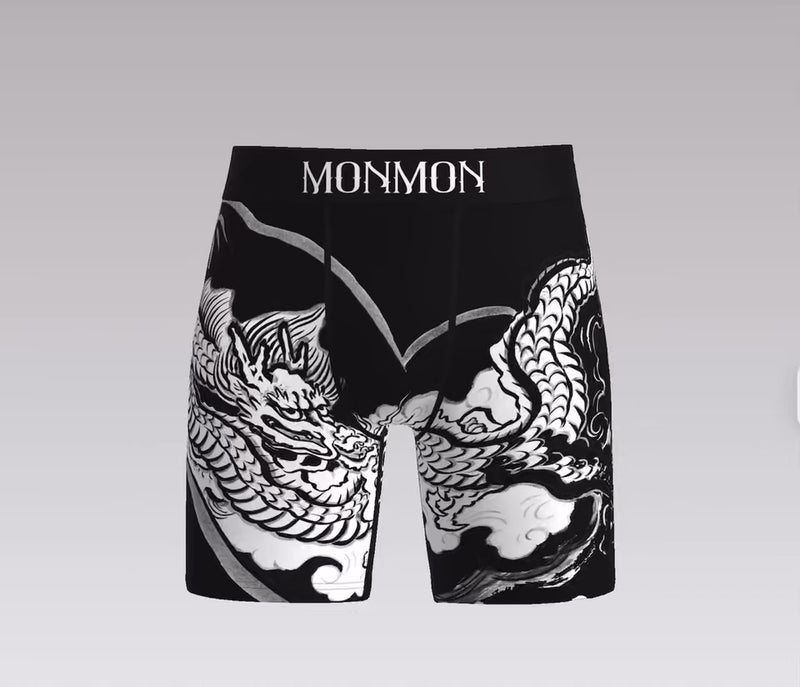 Dragon Cat Boxers